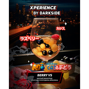 Табак для кальяна Dark Side Xperience Berry Vs (Дарк Сайд Экспириенс) 120г Акцизный