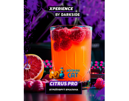 Табак Dark Side Xperience Citrus Pro 120г