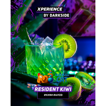 Табак для кальяна Dark Side Xperience Resident Kiwi (Дарк Сайд Экспириенс) 120г Акцизный
