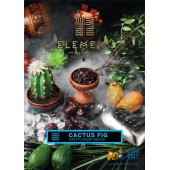 Табак Element Water Cactus Fig (Кактусовый Финик Вода) 40г Акцизный