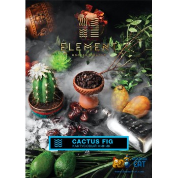 Табак для кальяна Element Water Cactus Fig (Кактусовый Финик Вода) 40г Акцизный 