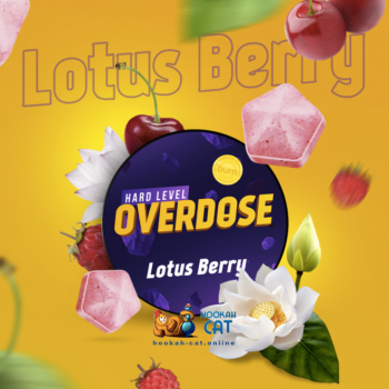 Заказать кальянный табак Overdose Lotus Berry (Овердос Лотос) 25г онлайн с доставкой всей России