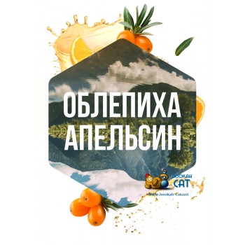 Табак для кальяна Сарма Облепиха Апельсин 25г Акцизный