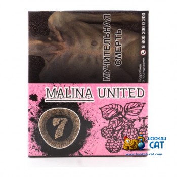 Табак для кальяна Seven Malina United (Семь Малина) 40г Акцизный