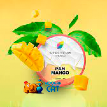 Заказать кальянный табак Spectrum Classic Pan Mango (Спектрум Пан Манго) 25г онлайн с доставкой всей России