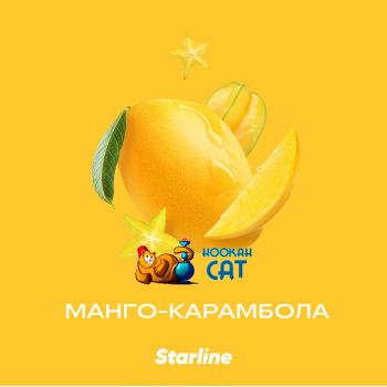 Заказать кальянный табак Starline (Старлайн) Манго Карамбола 25г онлайн с доставкой всей России