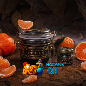 Заказать кальянный табак WTO Italy Tangerine (ВТО Италия Мандарин) 20г онлайн с доставкой всей России