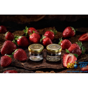 Заказать кальянный табак WTO Nicaragua Strawberry (ВТО Никарагуа Клубника) 20г онлайн с доставкой всей России