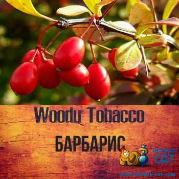 Табак для кальяна Woodu Barberry (Вуду Барбарис) 40г Акцизный