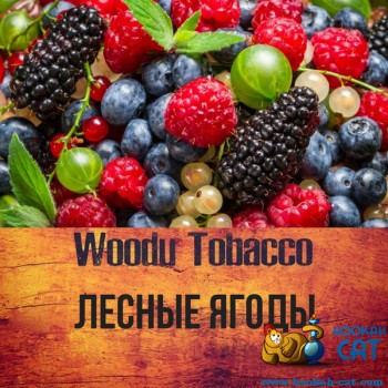 Табак для кальяна Woodu Berries (Вуду Лесные Ягоды) 40г Акцизный