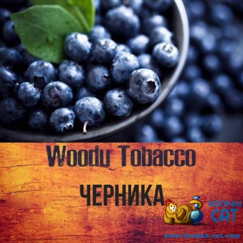 Табак для кальяна Woodu Blueberry (Вуду Голубика) 40г Акцизный