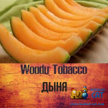 Табак для кальяна Woodu Melon (Вуду Дыня) 40г Акцизный