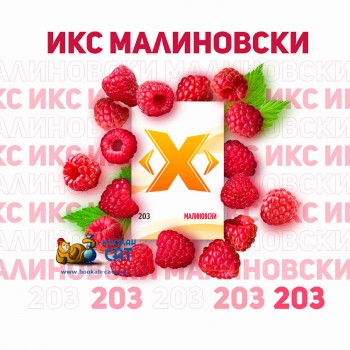 Табак для кальяна X (Икс) Малиновски (Малина) 50г Акцизный
