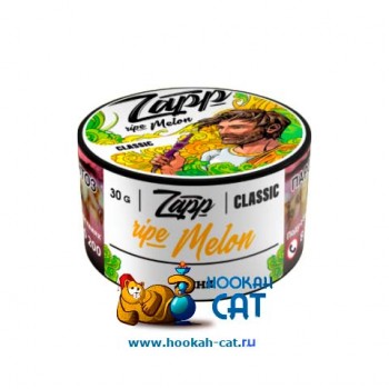 Табак для кальяна Zapp Classic Ripe Melon (Запп Дыня) 30г Акцизный