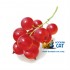 Заказать кальянный табак Spectrum Classic Red Berry (Спектрум Кислые Ягоды) 40г онлайн с доставкой всей России